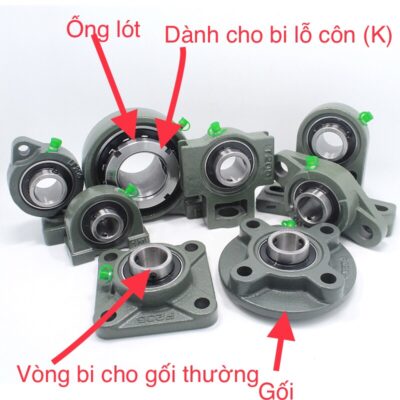 Các loại gối đỡ vòng bi phổ biến