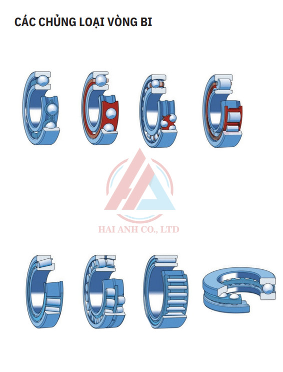 Xem thêm về CATALOG CATALOG %count (alt)%