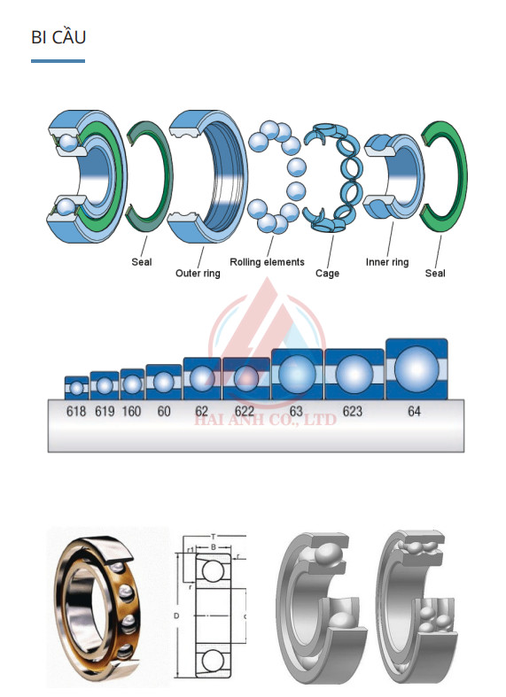 Xem thêm về CATALOG CATALOG %count (alt)%