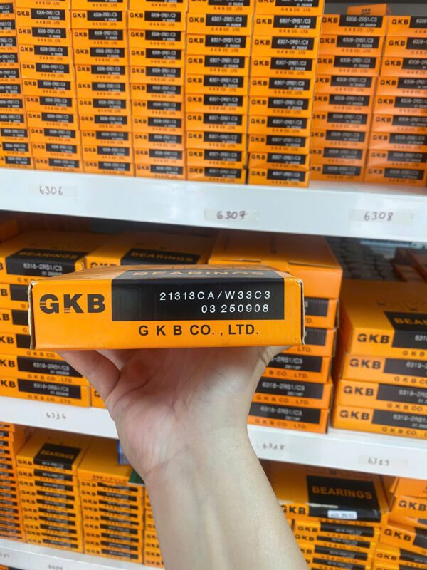 Vòng bi GKB 21313