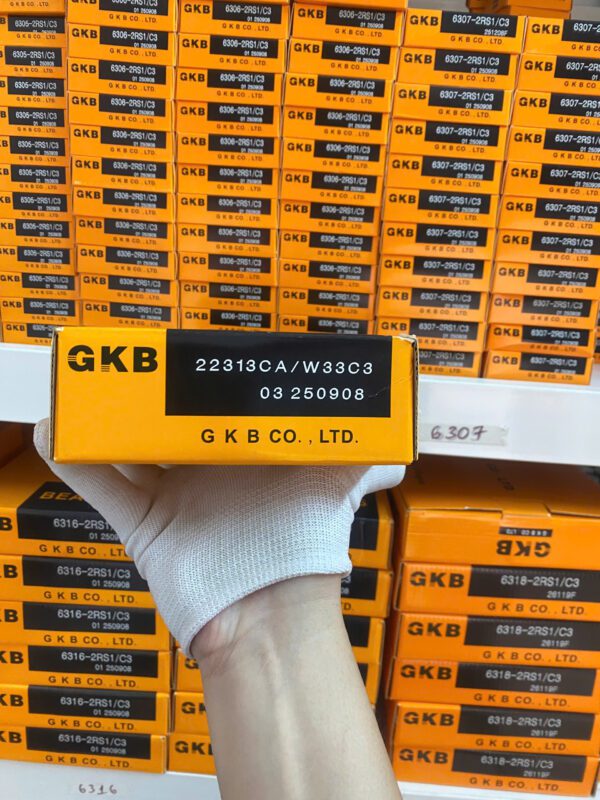 Vòng bi GKB 22313