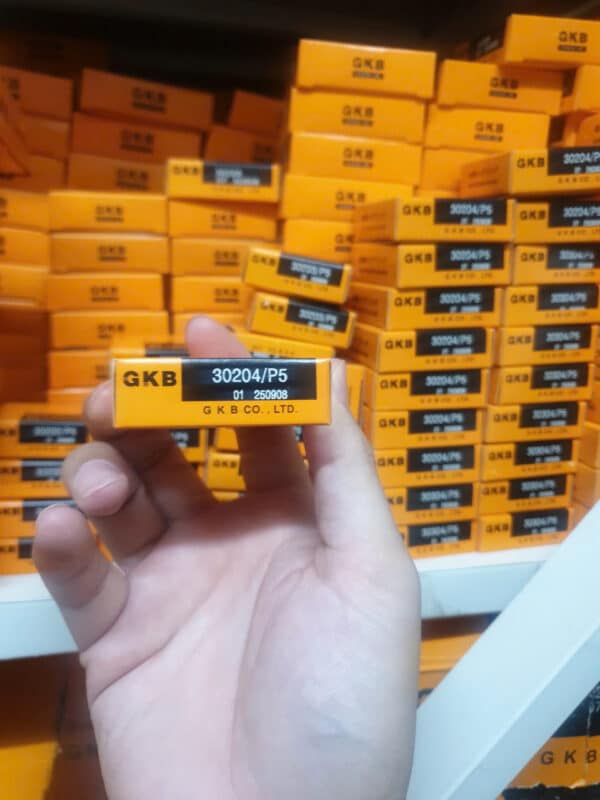 Vòng bi GKB 30204