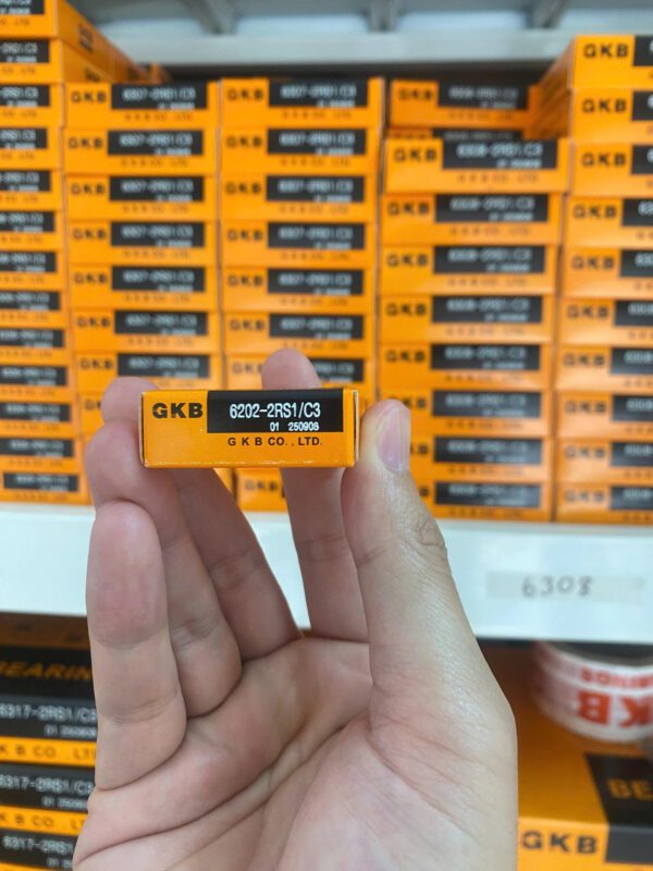 Vòng bi GKB 6202 chính hãng