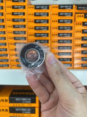 Vòng bi GKB 6202 chính hãng