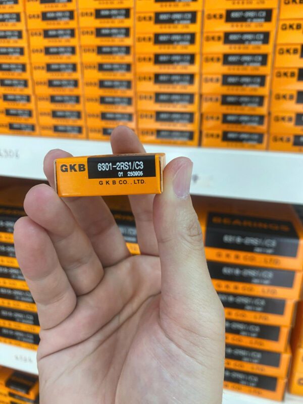 Vòng bi GKB 6301