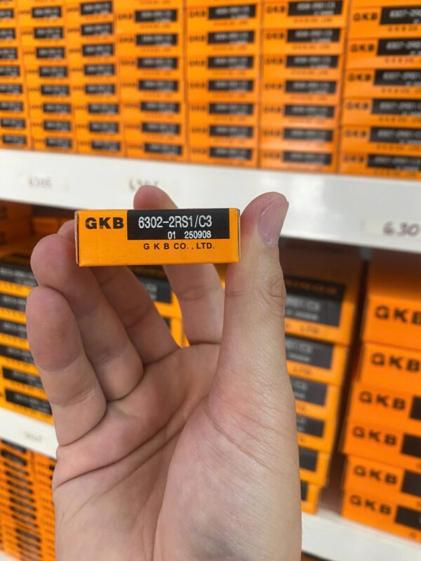 Vòng bi GKB 6302