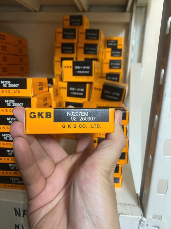 Vòng bi GKB NJ207EM