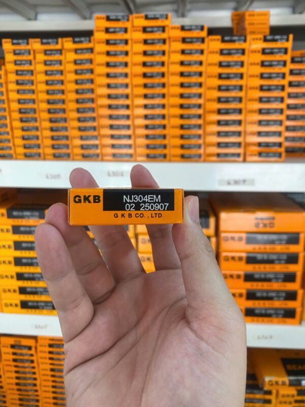 Vòng bi GKB NJ304EM