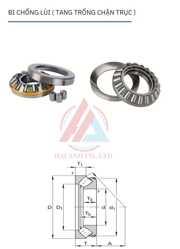 Xem thêm về CATALOG CATALOG %count (alt)%
