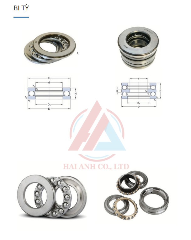 Xem thêm về CATALOG CATALOG %count (alt)%